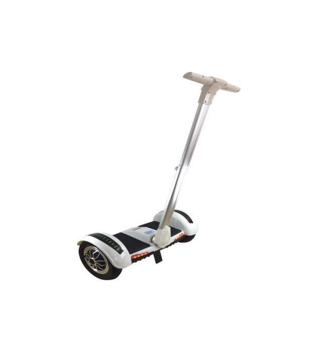 Mini self segway 700W