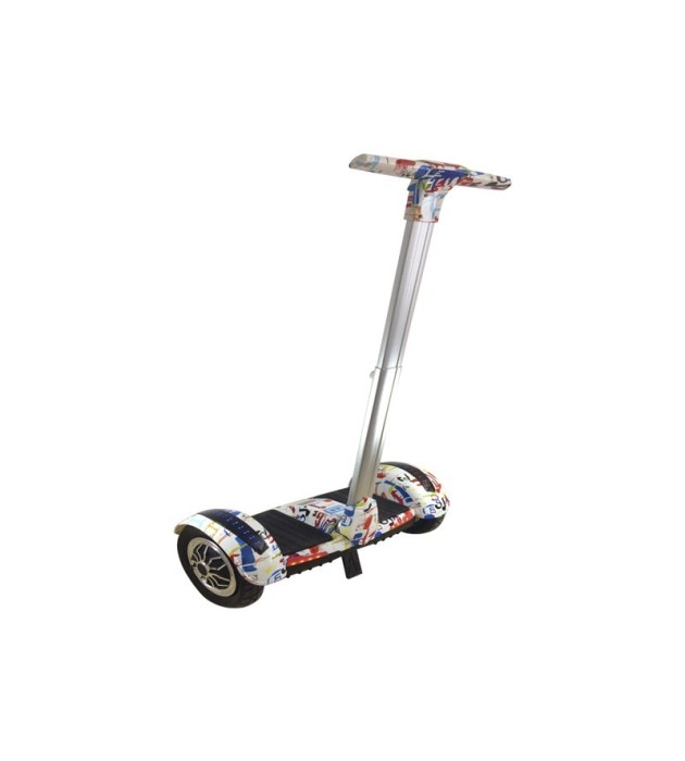 Mini self segway 700W