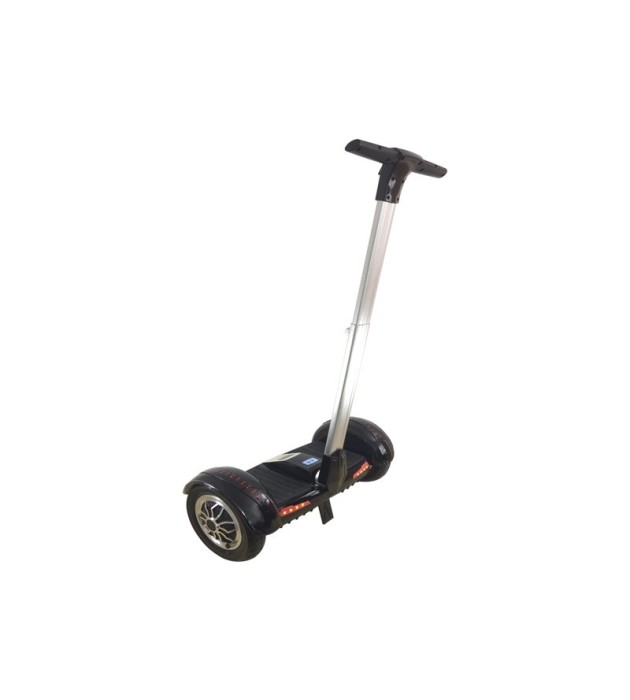 Mini self segway 700W