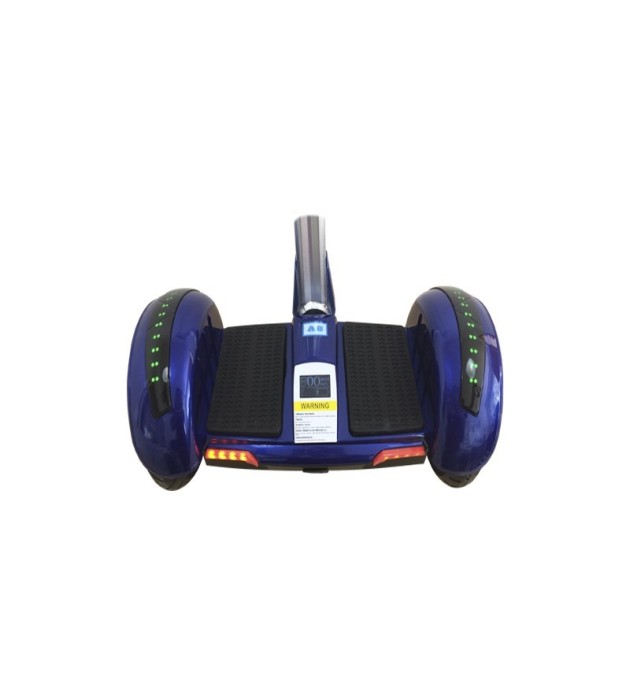 Mini self segway 700W