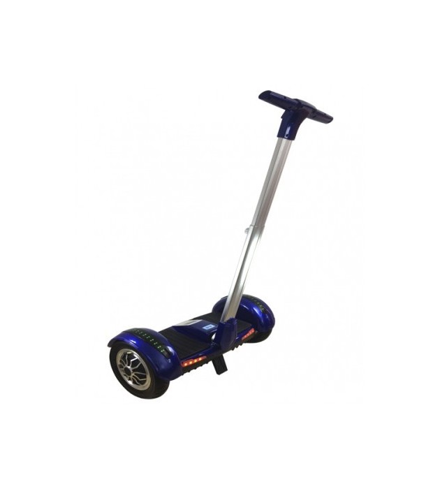 Mini self segway 700W