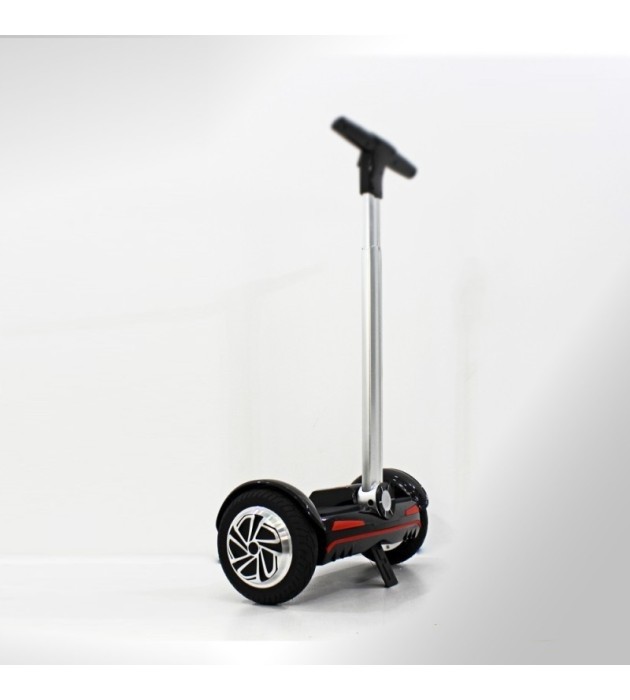 Mini self segway 700W