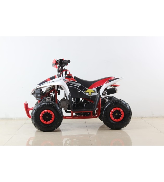 Atv Quad SPORT 110cc 4t Automatico