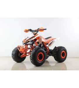 Atv Quad BIG FOOD 125cc 4t Con marchas