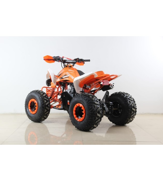 Atv Quad BIG FOOD 125cc 4t Con marchas