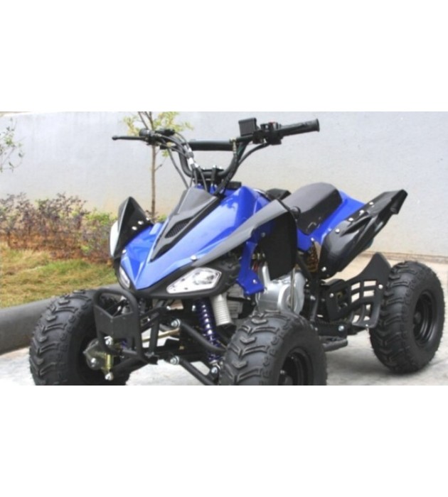 ATV QUAD BIG FOOD 125cc 4T AUTOMATICO SIN MARCHAS