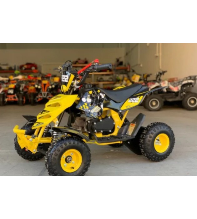 Mini Quad RAPTOR 49cc 2t con tirador Ruedas 6"