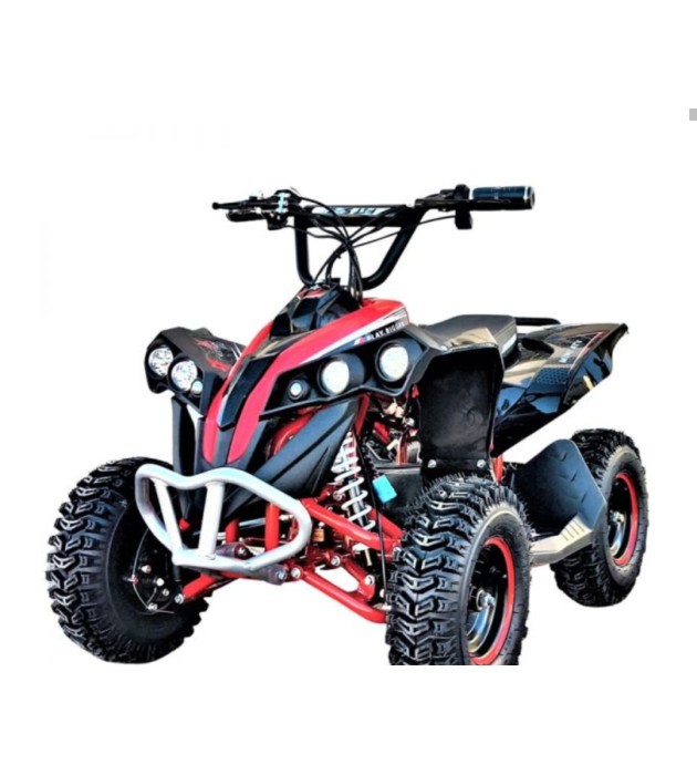 MINI QUAD ELECTRICO RENEGADE 1000W RUEDAS 6" PARA NIÑOS DE 2 A 10 AÑOS