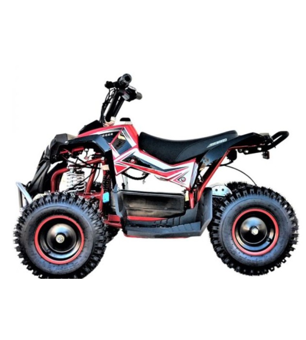 MINI QUAD ELECTRICO RENEGADE 1000W RUEDAS 6" PARA NIÑOS DE 2 A 10 AÑOS