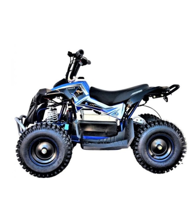 MINI QUAD ELECTRICO RENEGADE 1000W RUEDAS 6" PARA NIÑOS DE 2 A 10 AÑOS