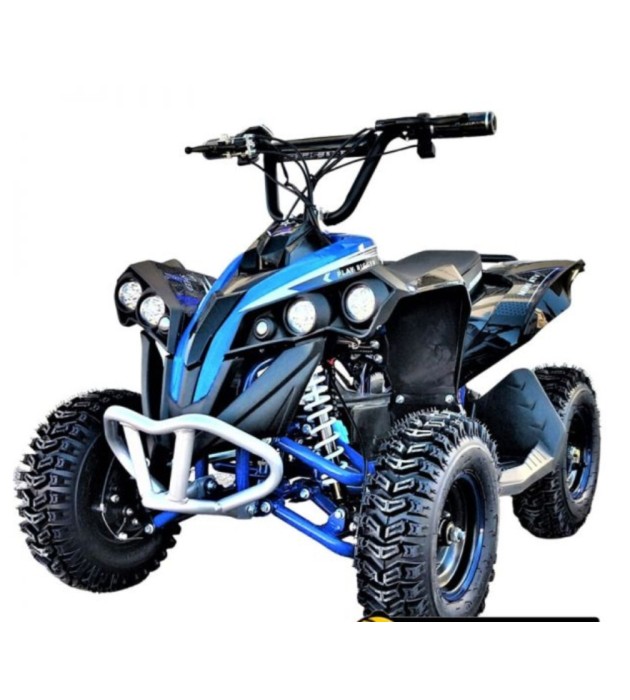 MINI QUAD ELECTRICO RENEGADE 1000W RUEDAS 6" PARA NIÑOS DE 2 A 10 AÑOS