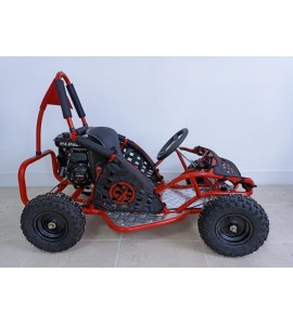 MINI KART CROSS BUGGY 80CC 4T RUEDAS 6 IDEAL PARA NIÑOS DE 4 AÑOS EN  ADELANTE