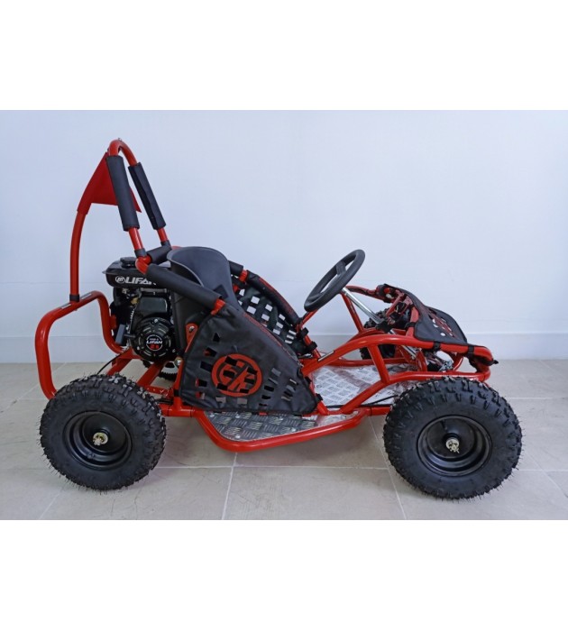 gasolina go kart con motor de 4 tiempos 2 asientos para la venta