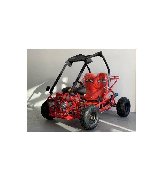 Buggy Biplaza con Motor 125cc – Quad Gasolina para Niños Niñas – Kart  Infantil – Coche Eléctrico con Batería Extra - Tractor Juguete Grande -  Drift Trike : : Juguetes y juegos