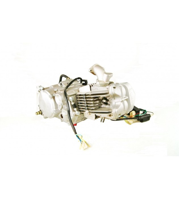 Motor Daytona Anima 190cc 4 valvulas