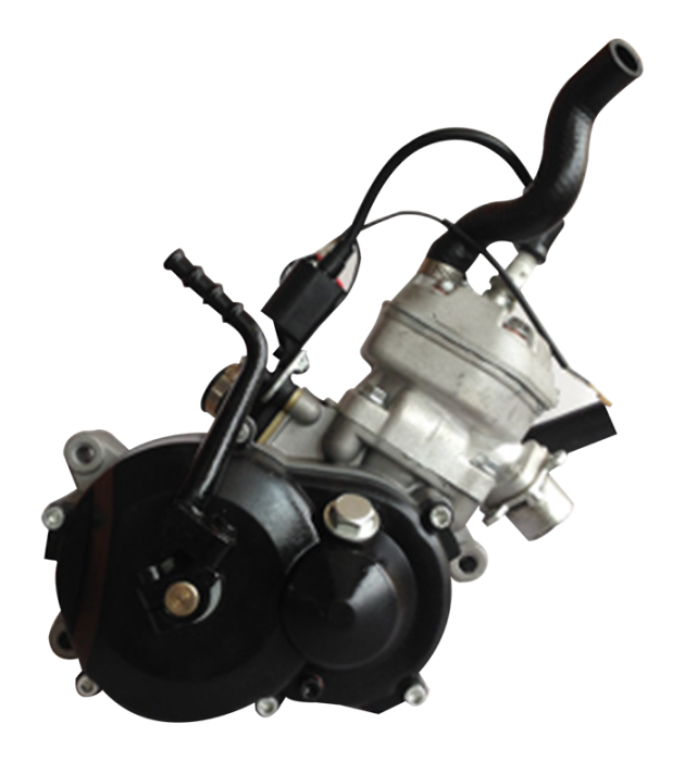 Motor 49cc 2t SX50 agua copia